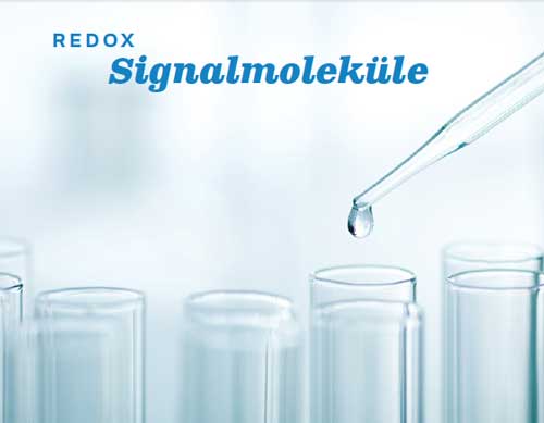 Redox Signal Molekuele
